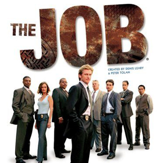 What happened to the tv show the job
