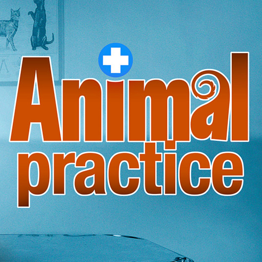 Animal Practice